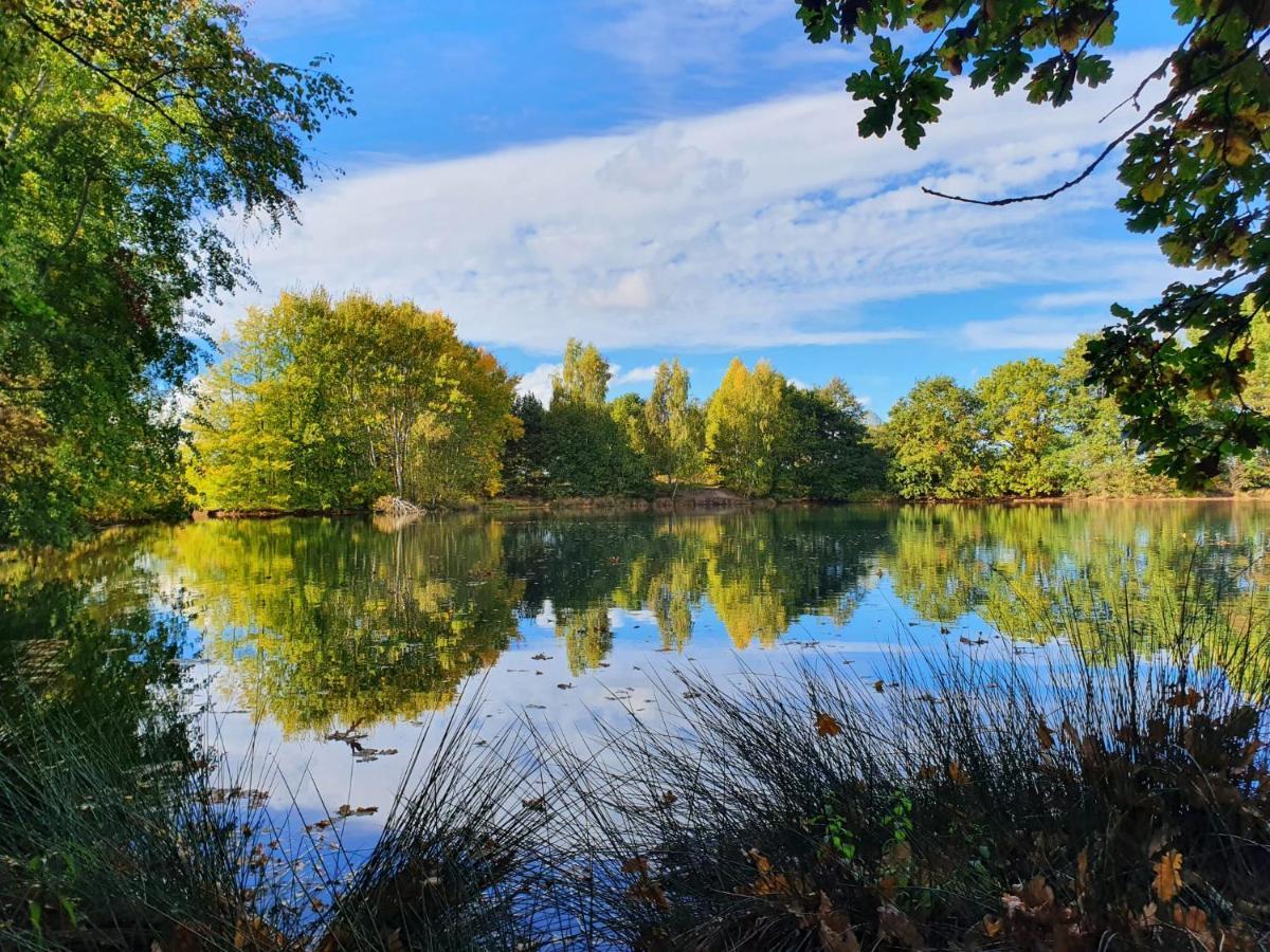 Ferienwohnung Am See Dillich - Eigener Garten - Ruhige Lage - Natur Vor Der Haustuer Borken  Kültér fotó