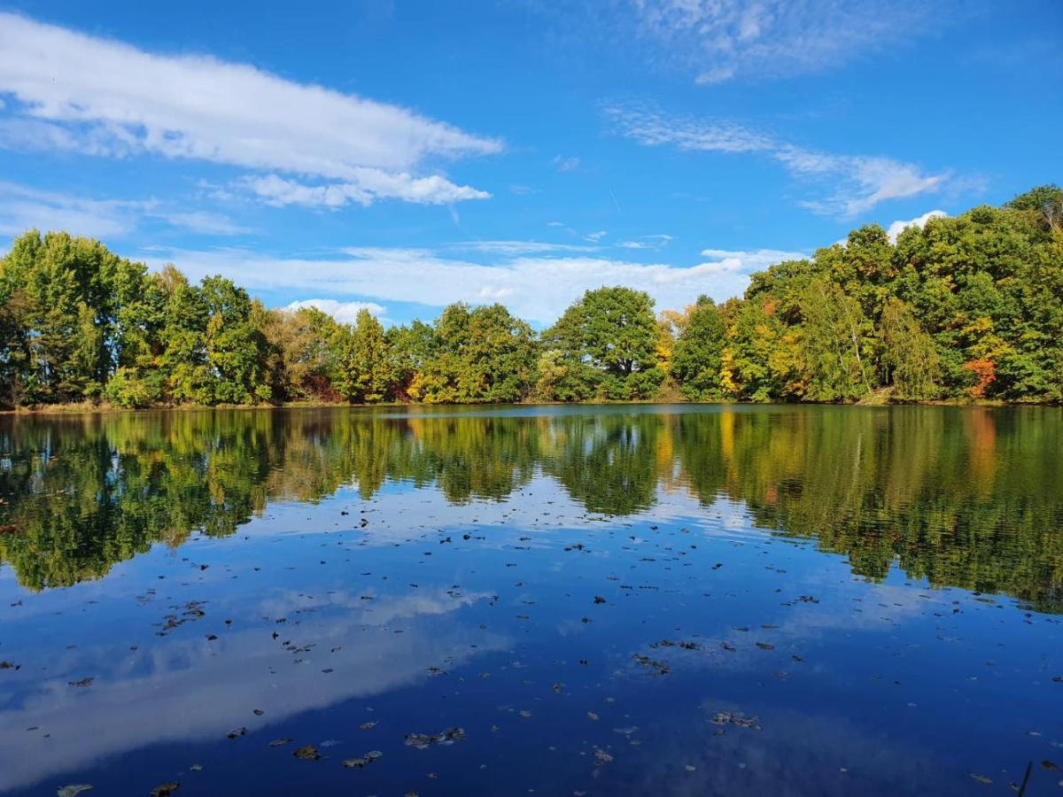 Ferienwohnung Am See Dillich - Eigener Garten - Ruhige Lage - Natur Vor Der Haustuer Borken  Kültér fotó