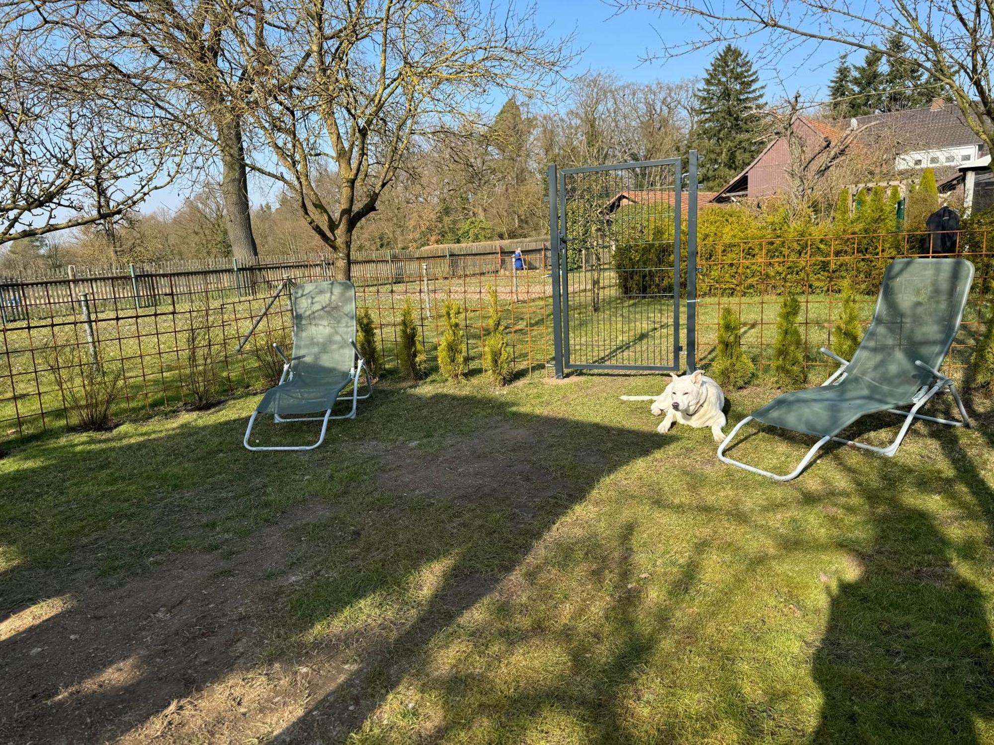 Ferienwohnung Am See Dillich - Eigener Garten - Ruhige Lage - Natur Vor Der Haustuer Borken  Kültér fotó